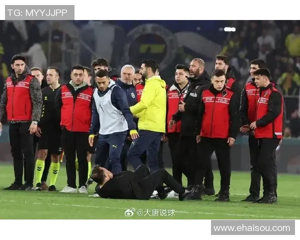 费内巴切与加队激战正酣争夺胜利的关键时刻分析与展望