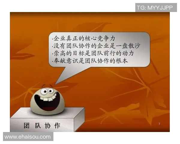 上海排球队的团队协作之道：凝聚力与默契的完美结合