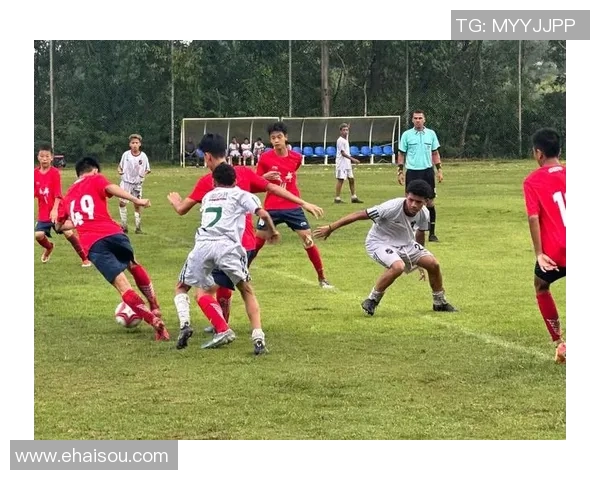 成都足球队现状揭秘：从训练到比赛的全景观察与分析